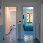 Real Domus