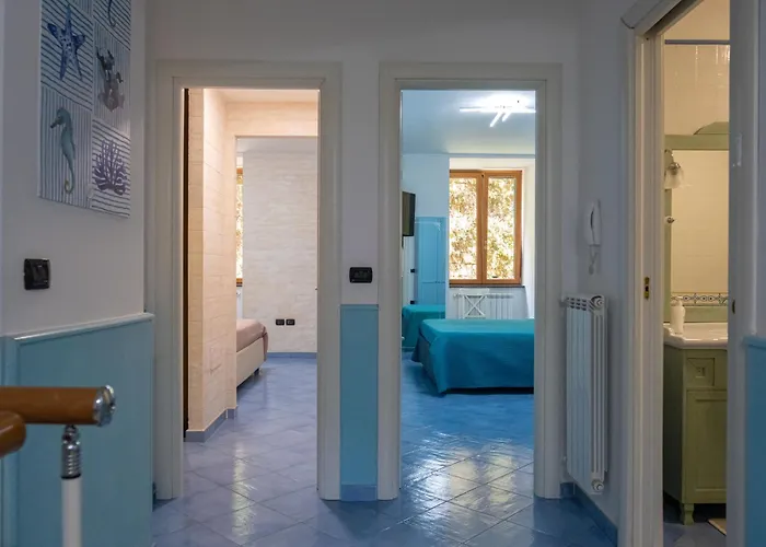 Real Domus